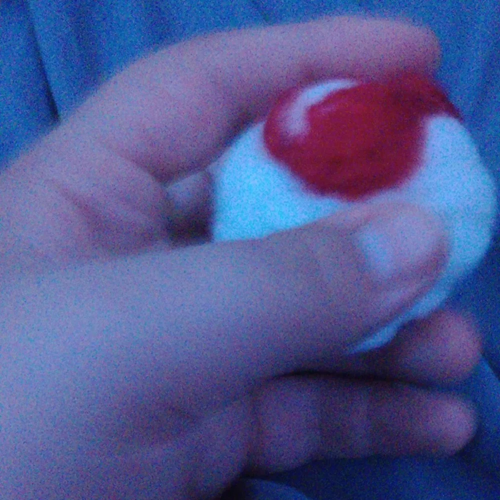 Homemade Cat Toy